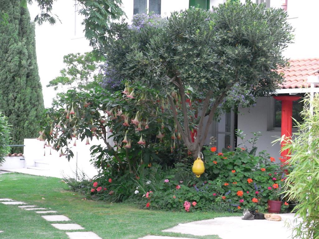 Villa Yiannis (Adults Only) Megali Ammos  Exterior foto